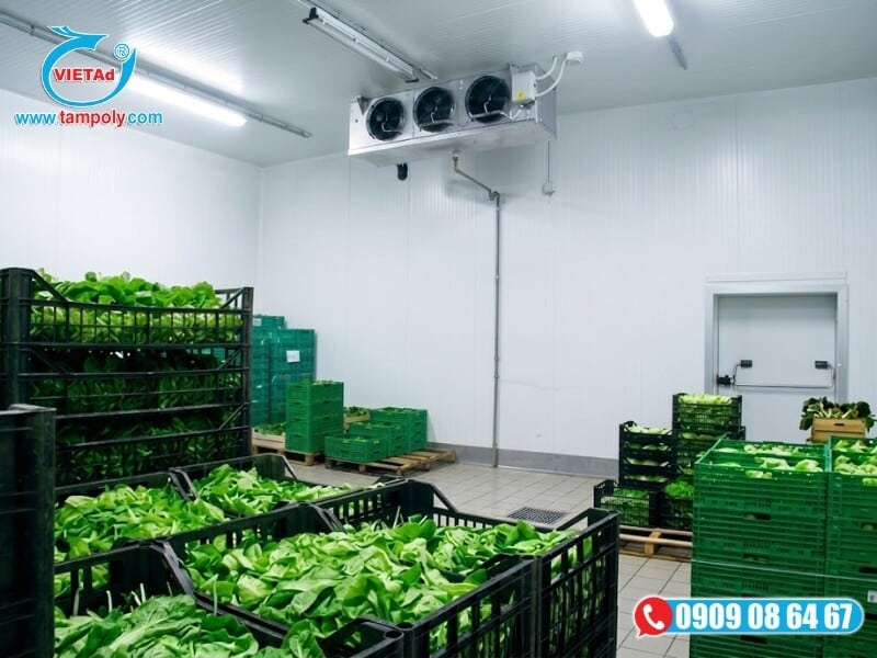 Lựa chọn mẫu phòng lạnh phù hợp với nhu cầu bảo quản các loại thực phẩm khác nhau