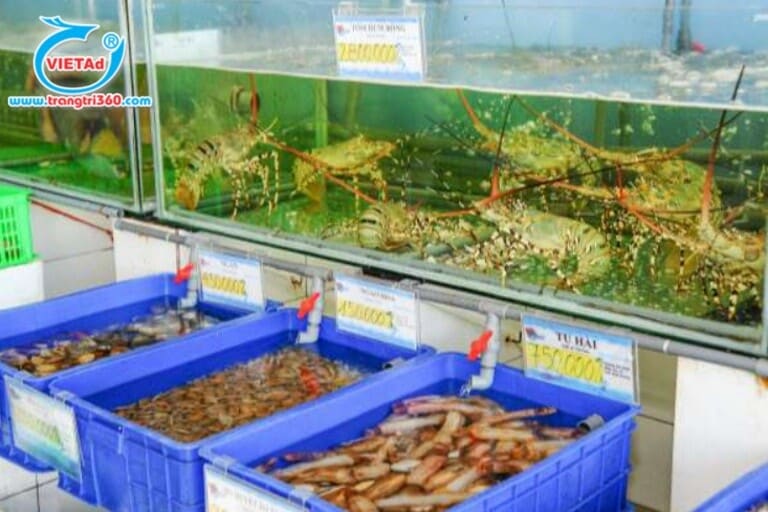 Mẫu sản phẩm thùng nhựa đựng hải sản tươi sống 