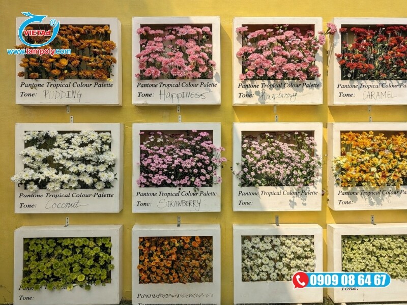 Tấm formex có trọng lượng nhẹ, dễ lắp đặt mà không cần khung phức tạp